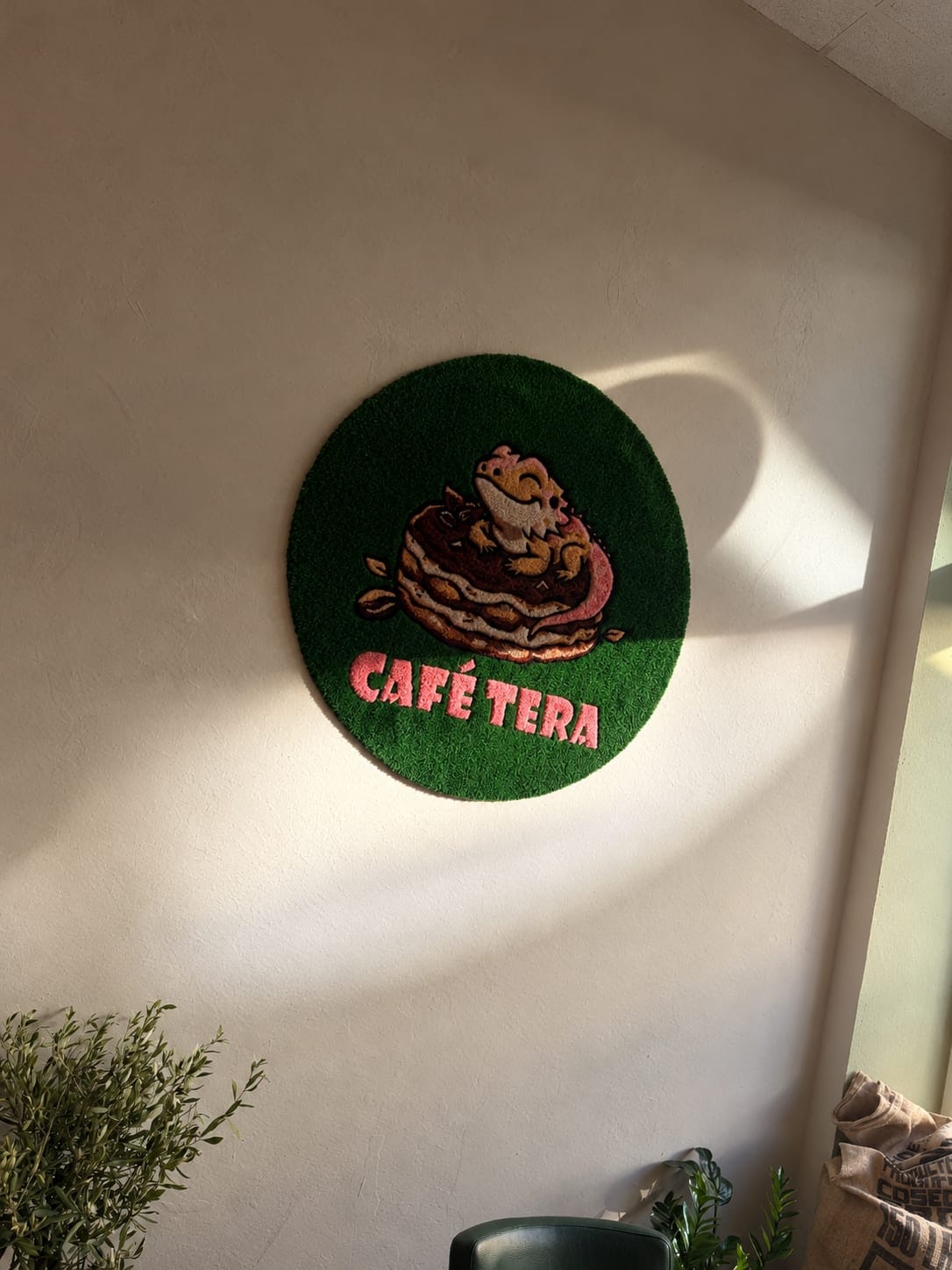 Runder grüner Teppich mit dem Café-Tera-Logo – eine Bartagame auf einem Tiramisu – an der sonnigen Wand, davor ein Olivenbäumchen und Kaffeesäcke